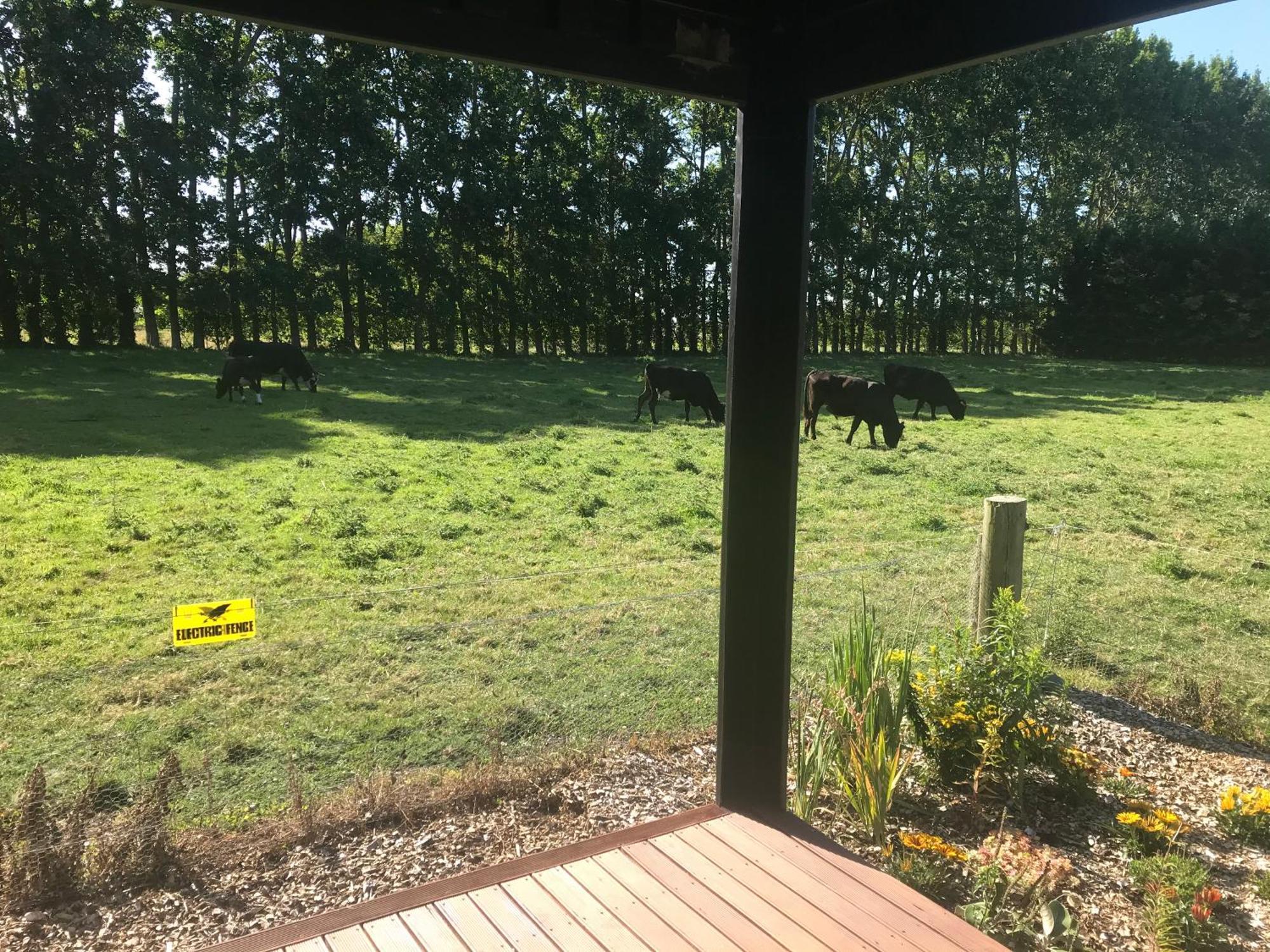 Hotel Brookside Country Escape 40 Minutes To Chc Airport à Leeston Extérieur photo