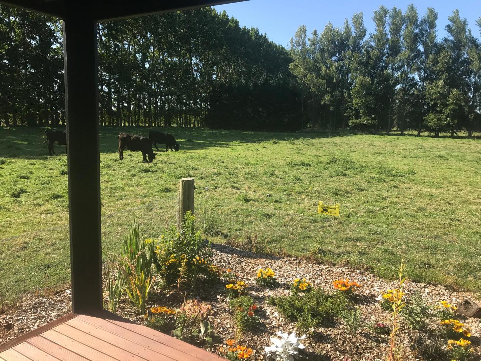 Hotel Brookside Country Escape 40 Minutes To Chc Airport à Leeston Extérieur photo